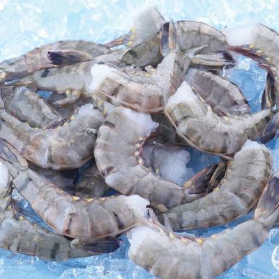 Tôm Sú Lặt Đầu